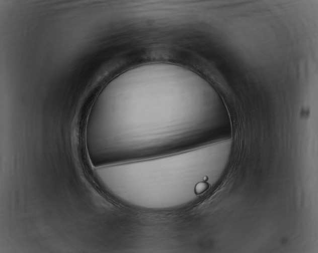 X0000101970722200807180725