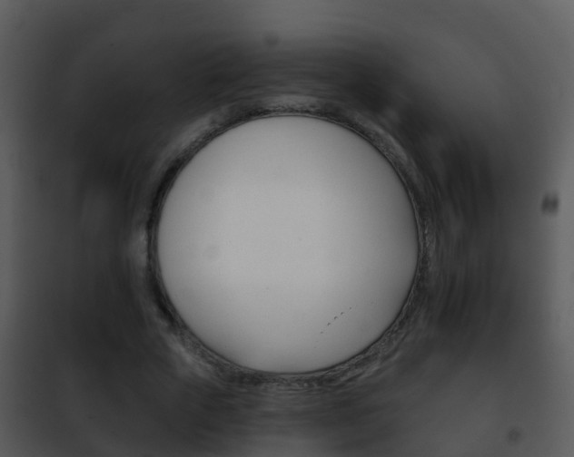 X0000101970729200807180726