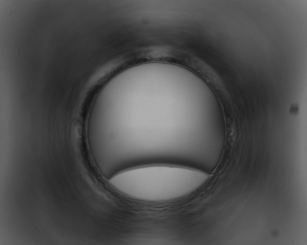 X0000101970732200807180726