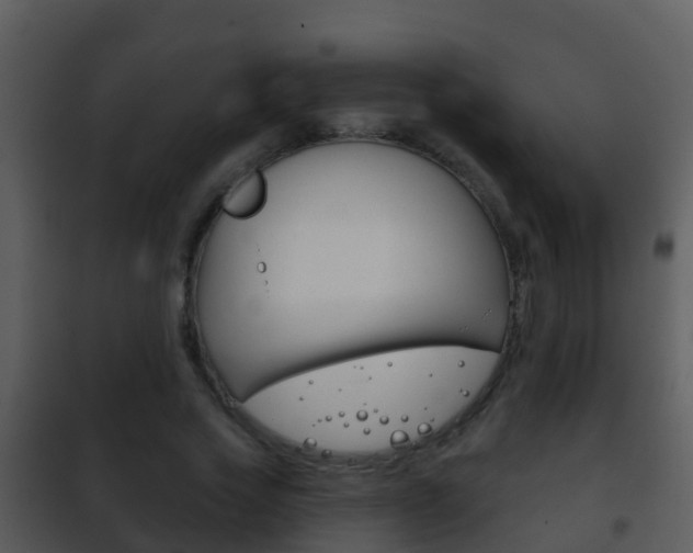 X0000101970733200807180726
