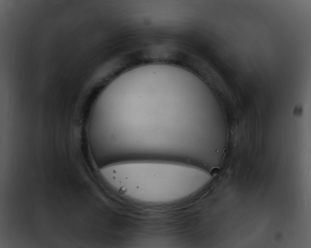 X0000101970735200807180726