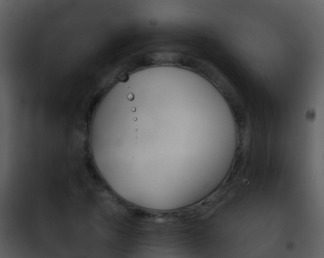 X0000101970737200807180726