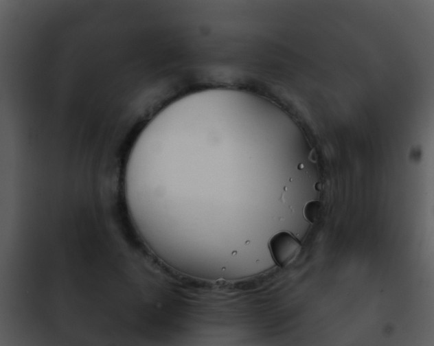 X0000101970739200807180726