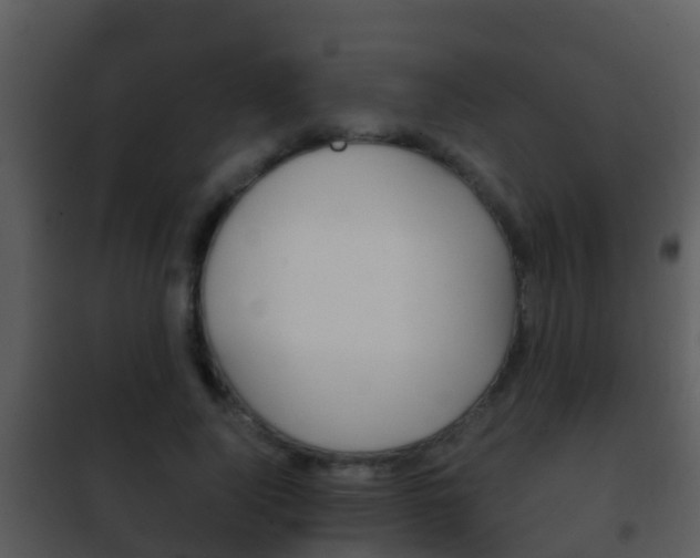 X0000101970740200807180726
