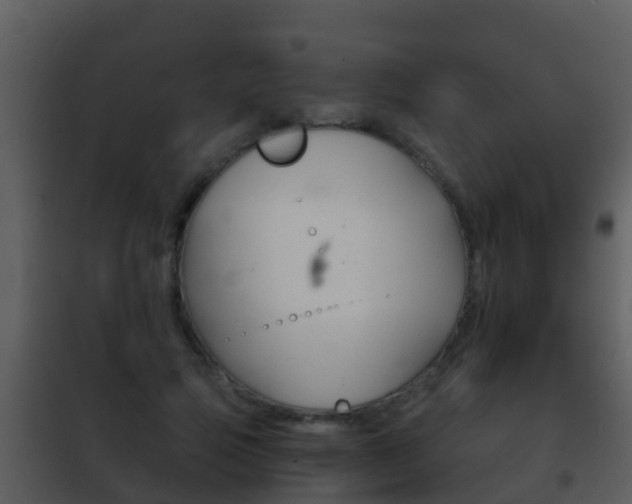 X0000101970741200807180726
