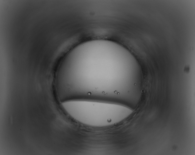 X0000101970742200807180726