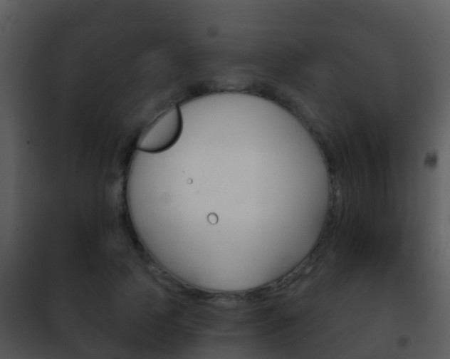 X0000101970745200807180726