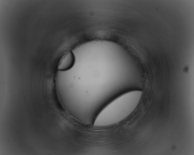 X0000101970746200807180726