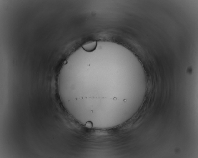 X0000101970749200807180726
