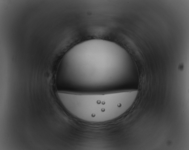 X0000101970750200807180726