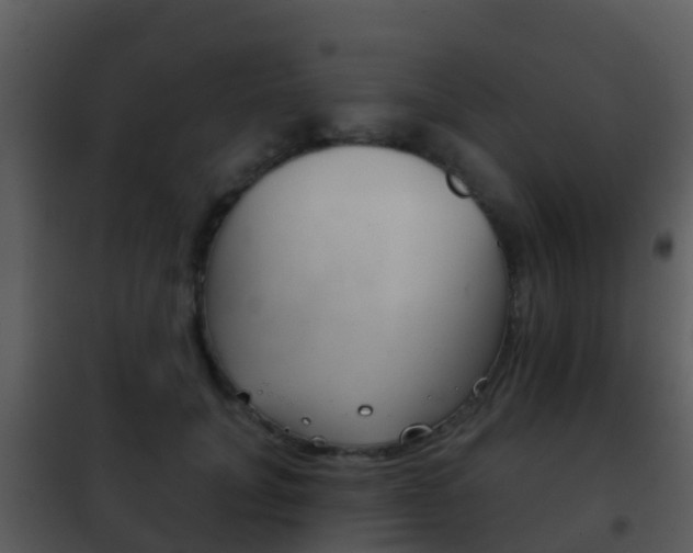 X0000101970751200807180726
