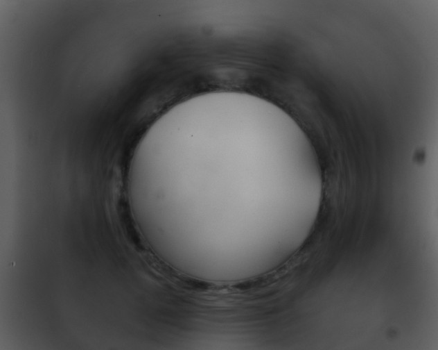 X0000101970752200807180726