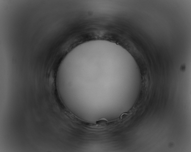X0000101970754200807180726