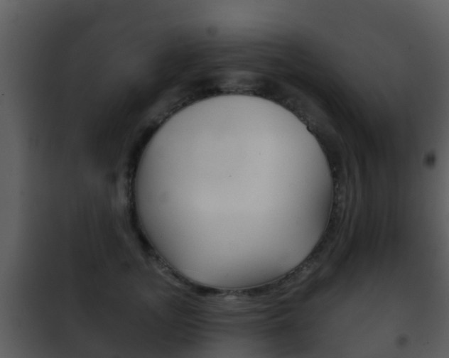 X0000101970755200807180726