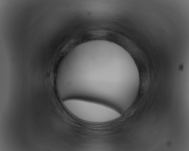 X0000101970758200807180726