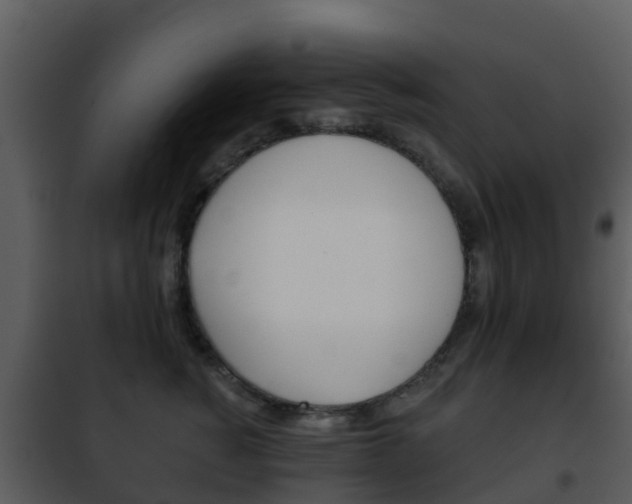 X0000101970760200807180726