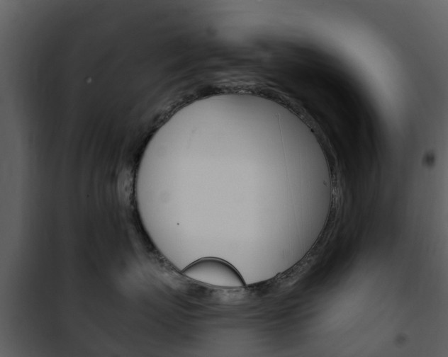 X0000101970767200807180726