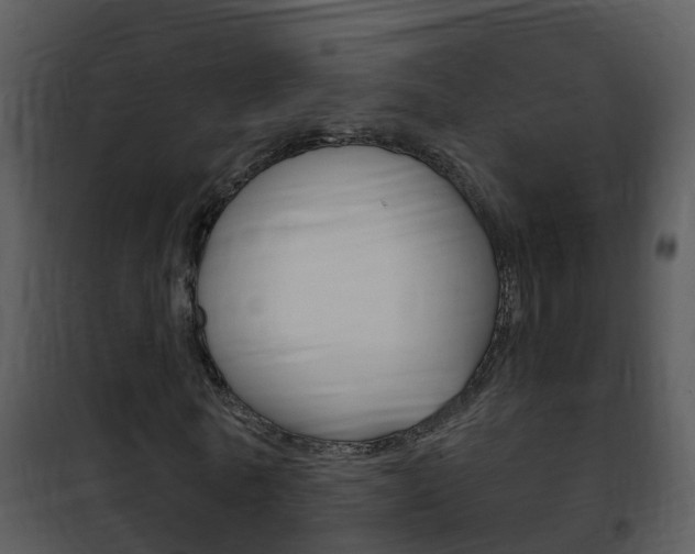 X0000101970770200807180725