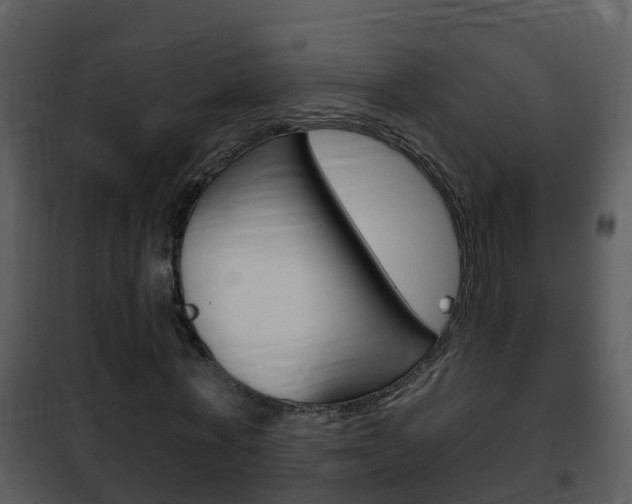 X0000101970771200807180725