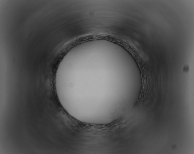 X0000101970773200807180725
