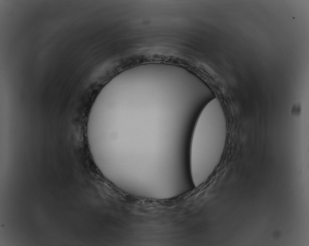 X0000101970774200807180725