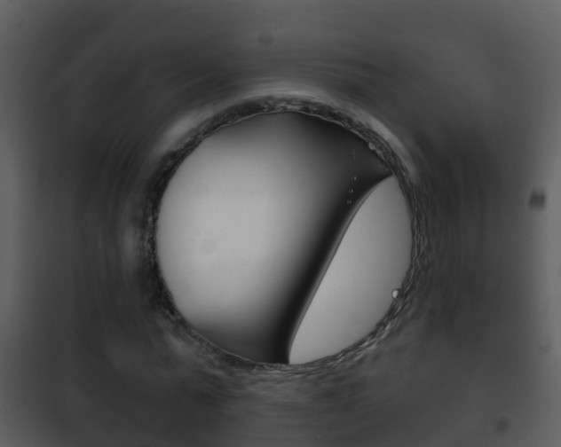 X0000101970775200807180725