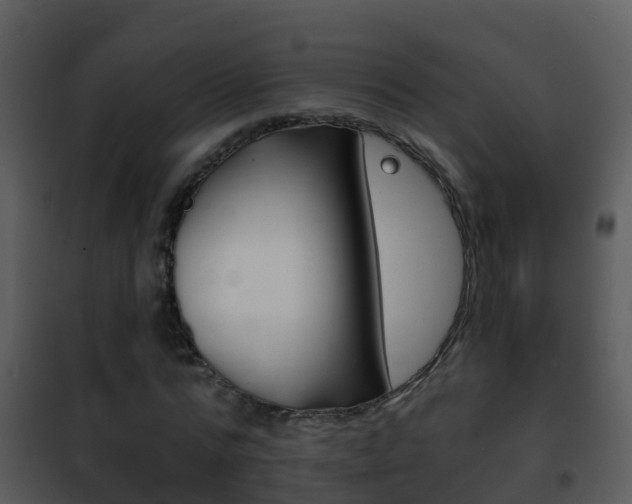 X0000101970776200807180725