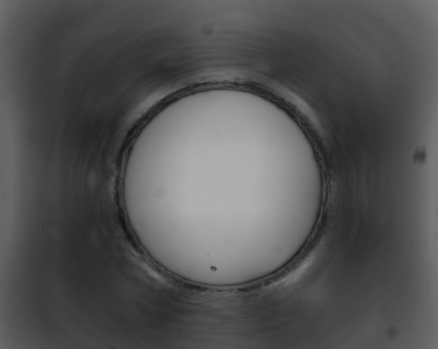 X0000101970778200807180725