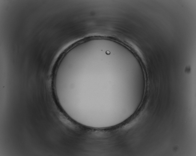 X0000101970779200807180725