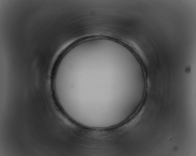 X0000101970780200807180725
