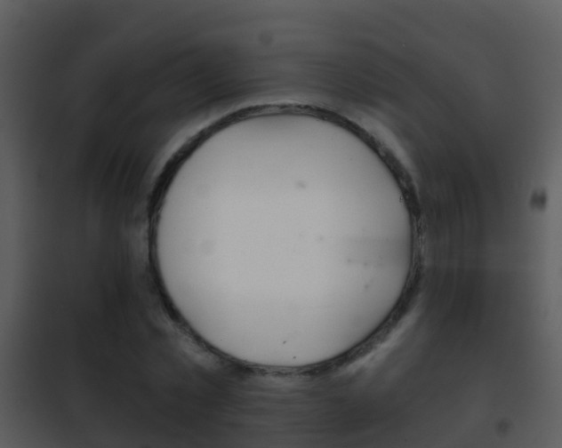 X0000101970781200807180725