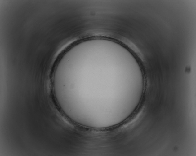 X0000101970782200807180725