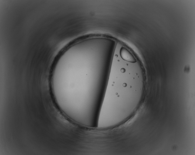 X0000101970783200807180725