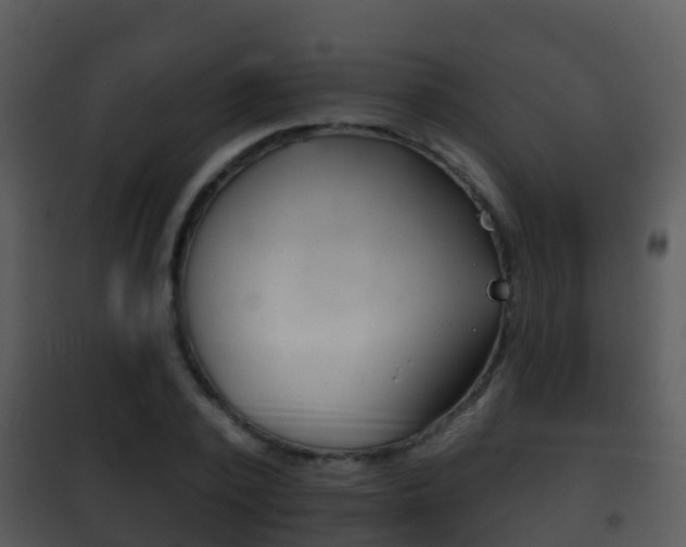 X0000101970784200807180725