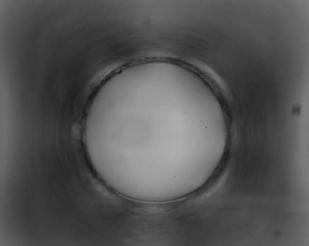 X0000101970785200807180725