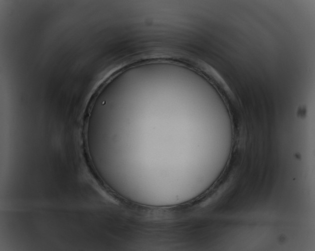 X0000101970786200807180725