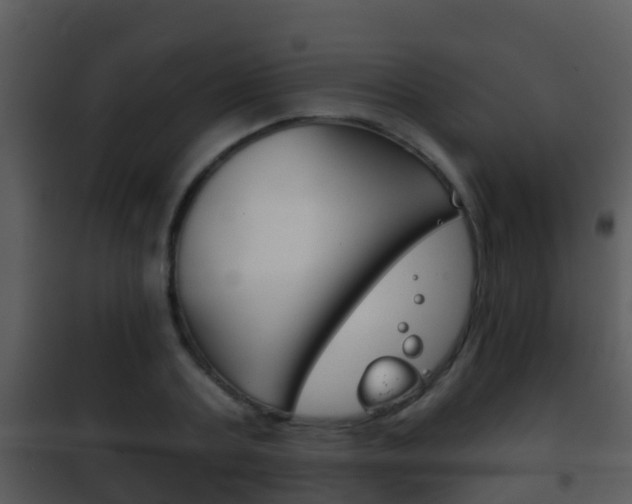 X0000101970787200807180725