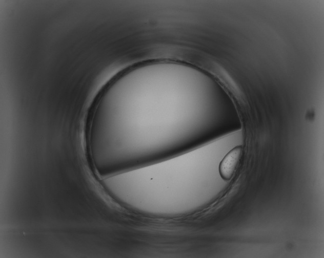 X0000101970788200807180725