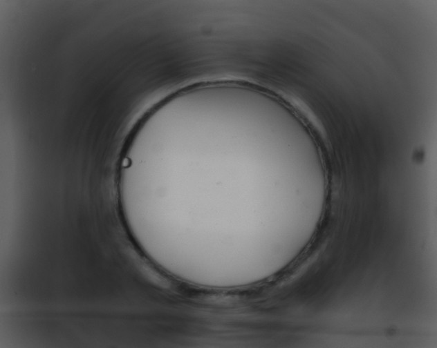 X0000101970789200807180725