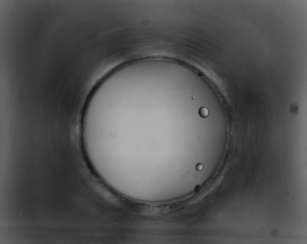X0000101970790200807180725
