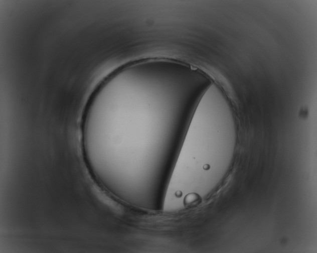 X0000101970792200807180725