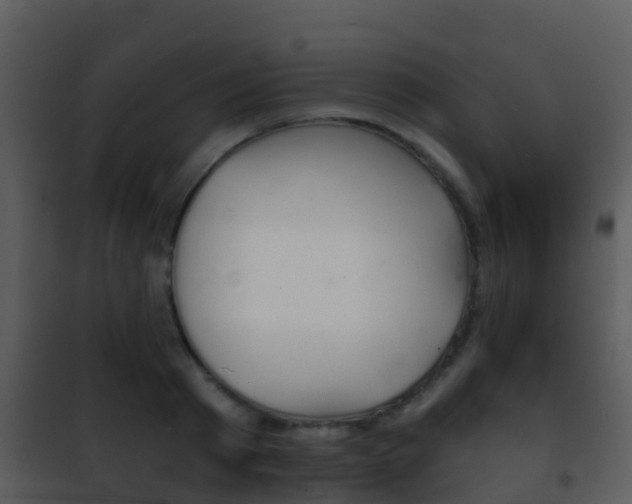 X0000101970793200807180725