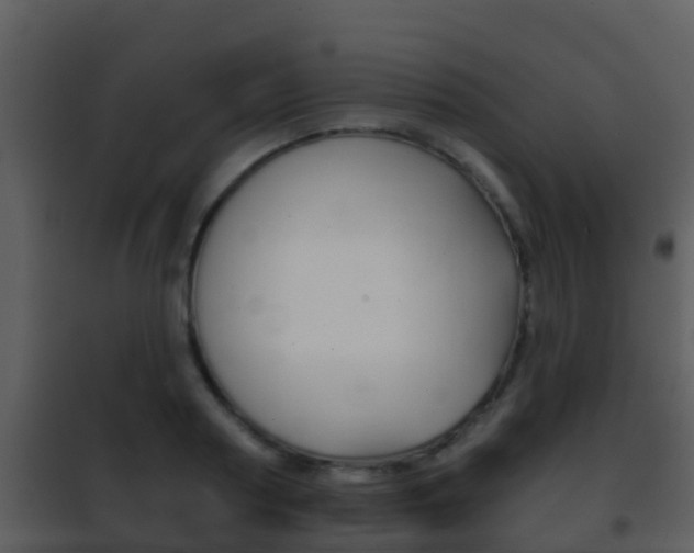 X0000101970794200807180725