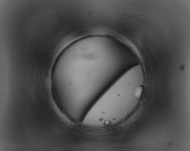 X0000101970795200807180725