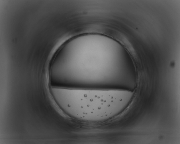 X0000101970796200807180725