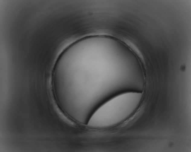 X0000101970797200807180725