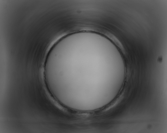 X0000101970798200807180725