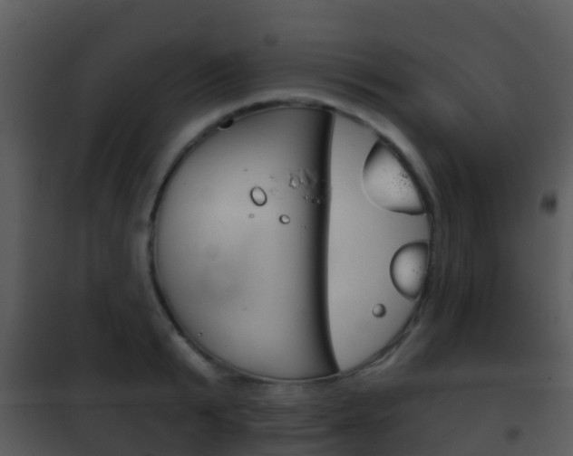 X0000101970799200807180725