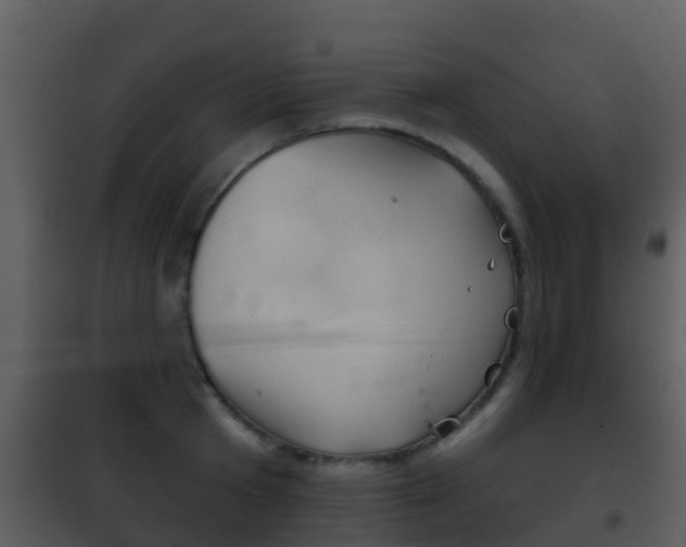 X0000101970801200807180725