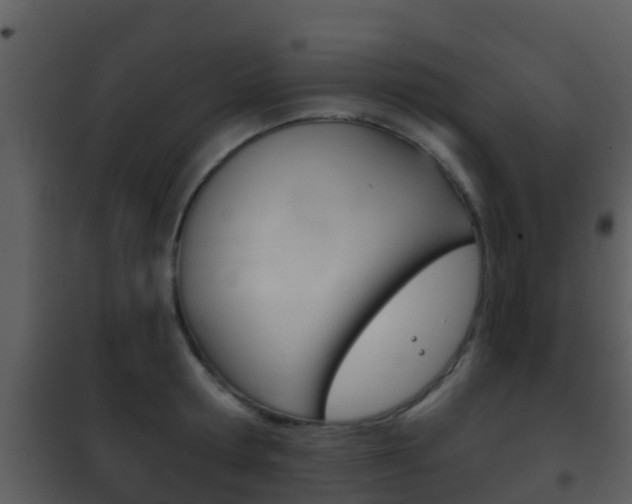 X0000101970802200807180725